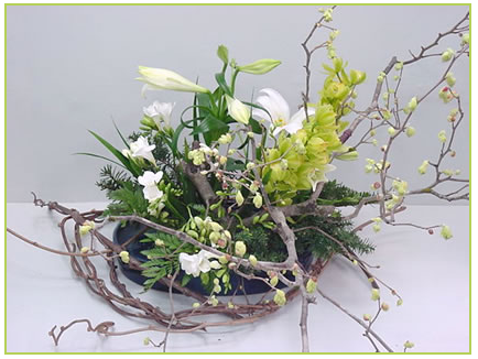 Ikebana - New Zealand Bloom - Your Partner For the Finest Luxury ...